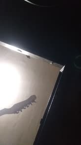 Capsulas De Plástico.