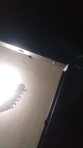 Capsulas De Plástico.