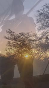 No Olvides Tus Raices