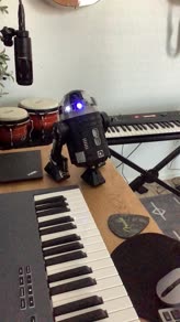 Princess Leia's Theme - May The 4th Be With You