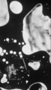 Pink Floyd: Astronomy Domine