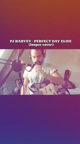 Perfect Day Elise (Looper Cover)