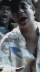 Deixa A Vida Me Levar