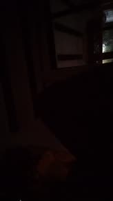 Walkin' Blues (Acoustic Live)