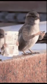 Tudo Vai Ser Diferente 